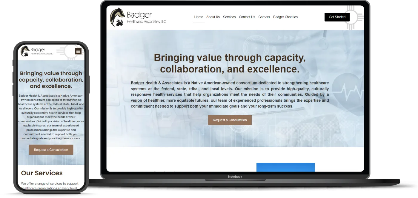 Badger Health and Associates website design